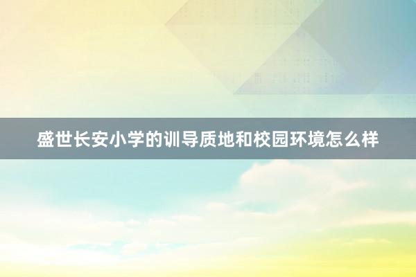 盛世长安小学的训导质地和校园环境怎么样